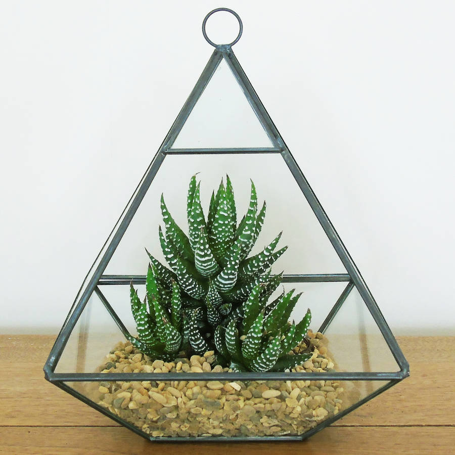 glass pyramid terrarium by the den & now