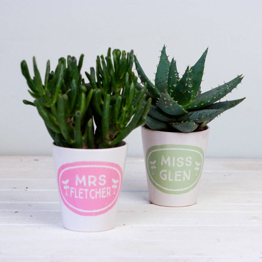 personalised teachers gift plant pot by snapdragon