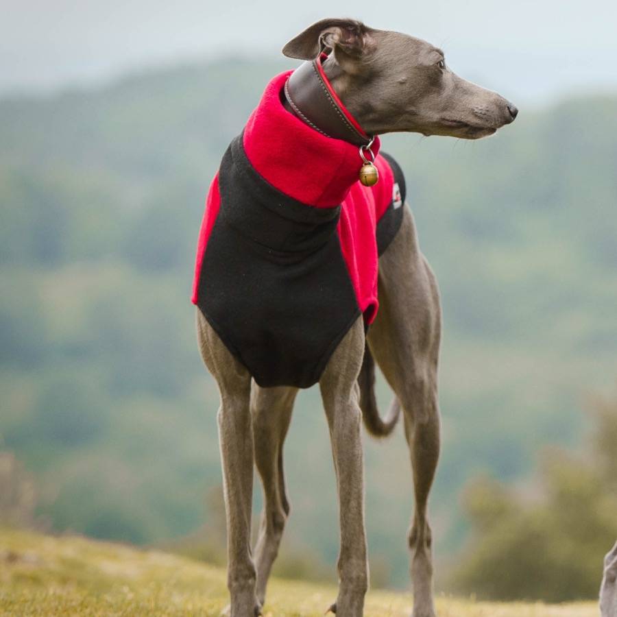 two tone fleece dog jumper by redhound for dogs