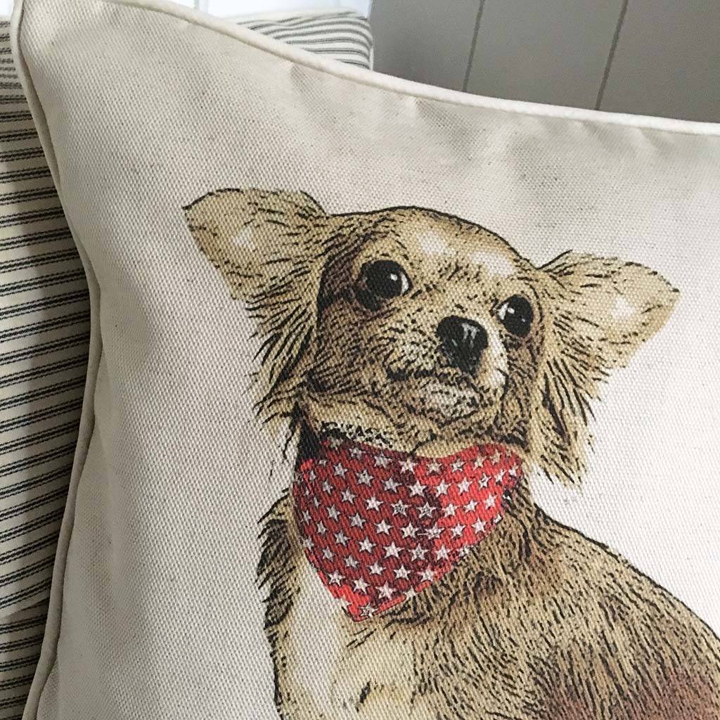 chihuahua cushion