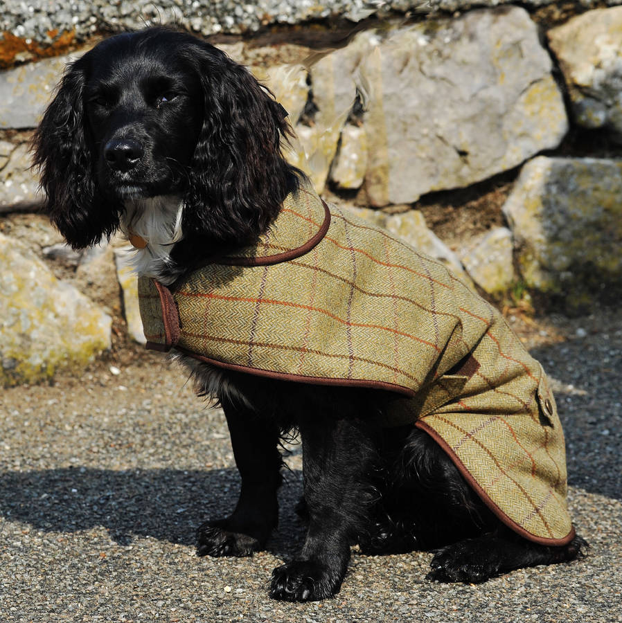 tweed lined dog coat by marquis & dawe