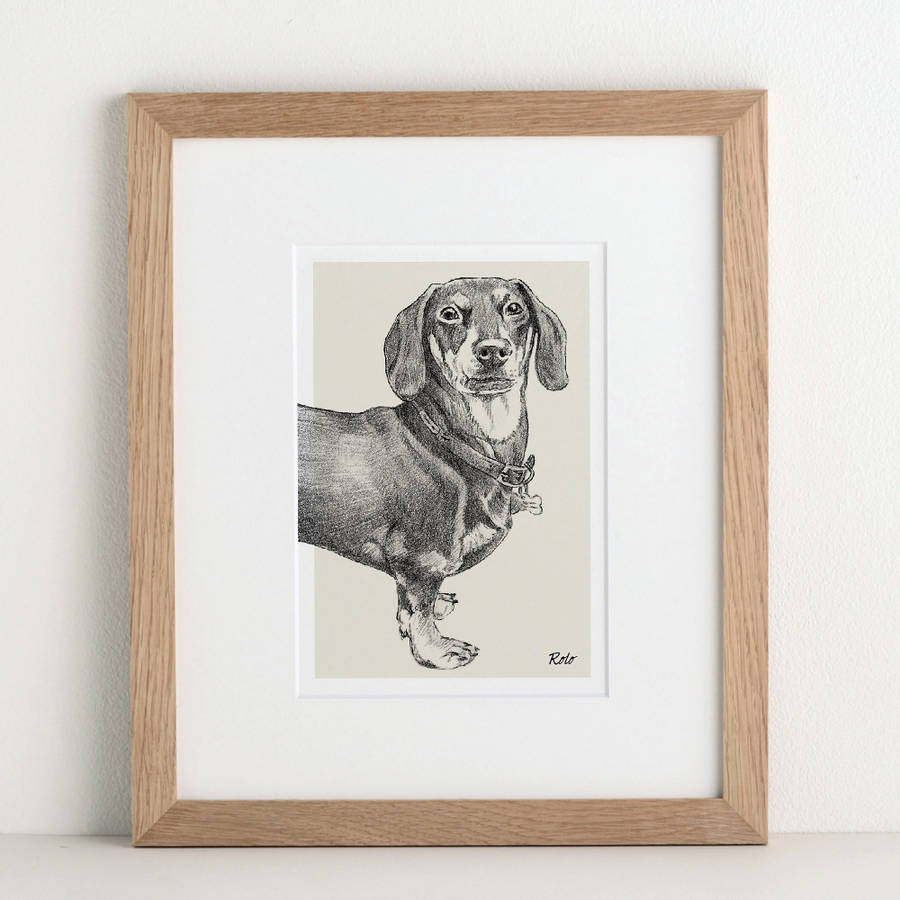 personalised pet portrait sketch by letterfest