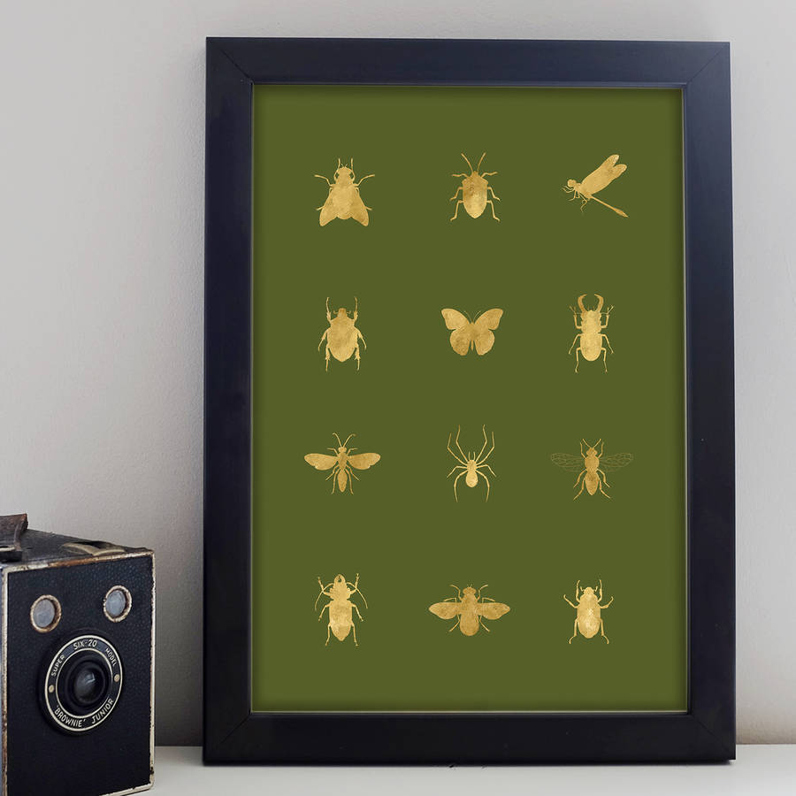 diagram-free-printable-insect-diagram-mydiagram-online