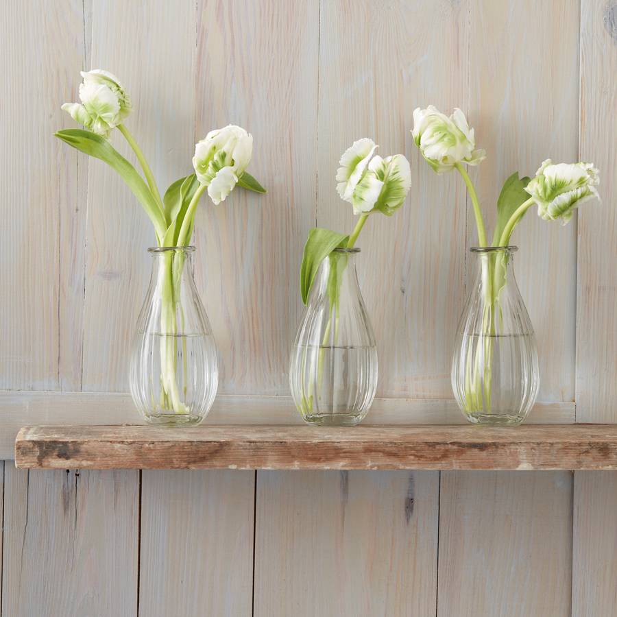 set of three contemporary tulip vases by the contemporary home