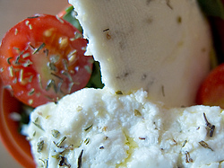 The Big Cheese Making Kit
