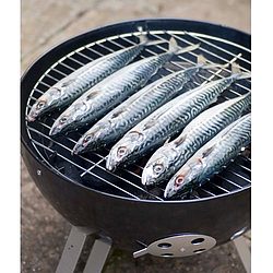 Hot Smoked