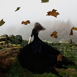 Nicola Taylor Photographer