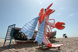 The Hamam Towel Company