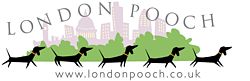 5 Dachshunds romping through the London skyline