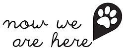 Now We Are Here