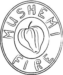 Mushemi Fire
