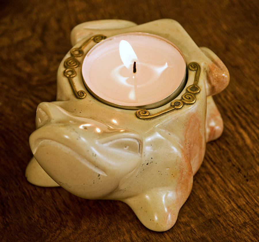 friendly frog candle holder by kwetu