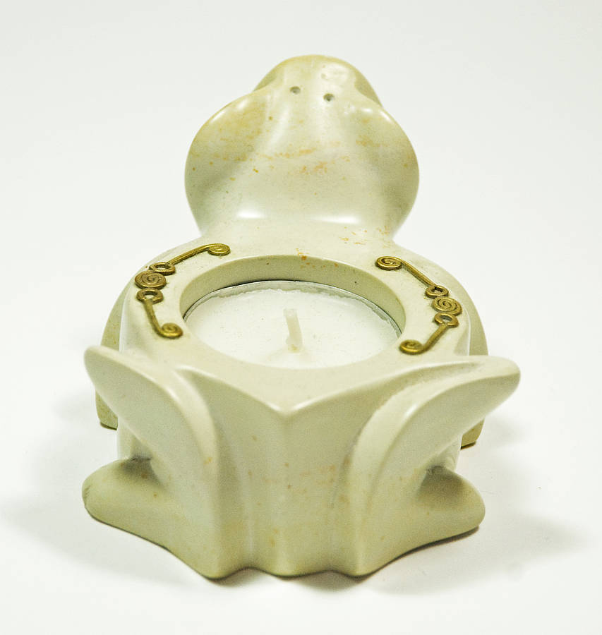 friendly frog candle holder by kwetu