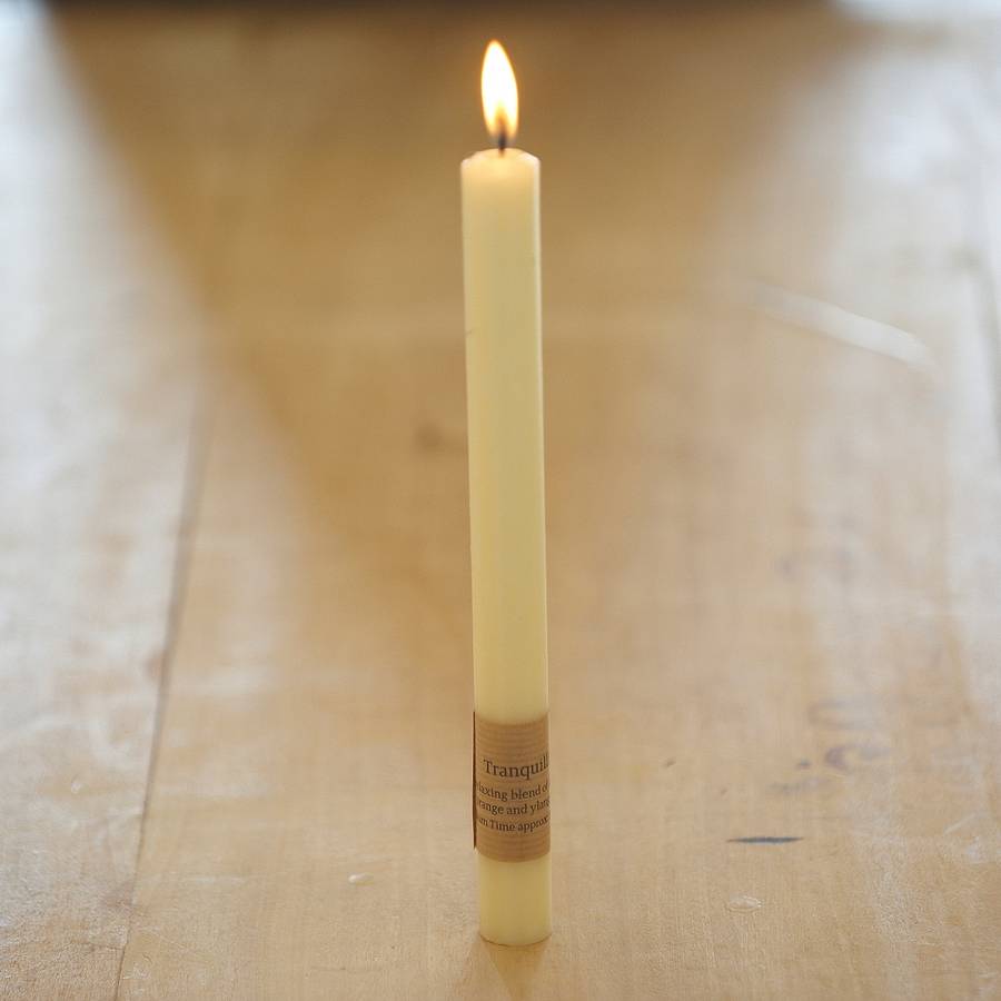 st eval pair of fragranced dinner candles by st eval candle company