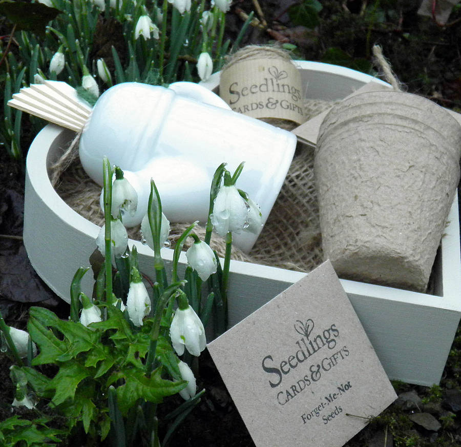 love grows gardening gift set by seedlings cards