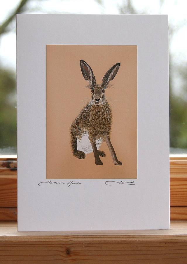 'brown hare' greeting card by bird | notonthehighstreet.com