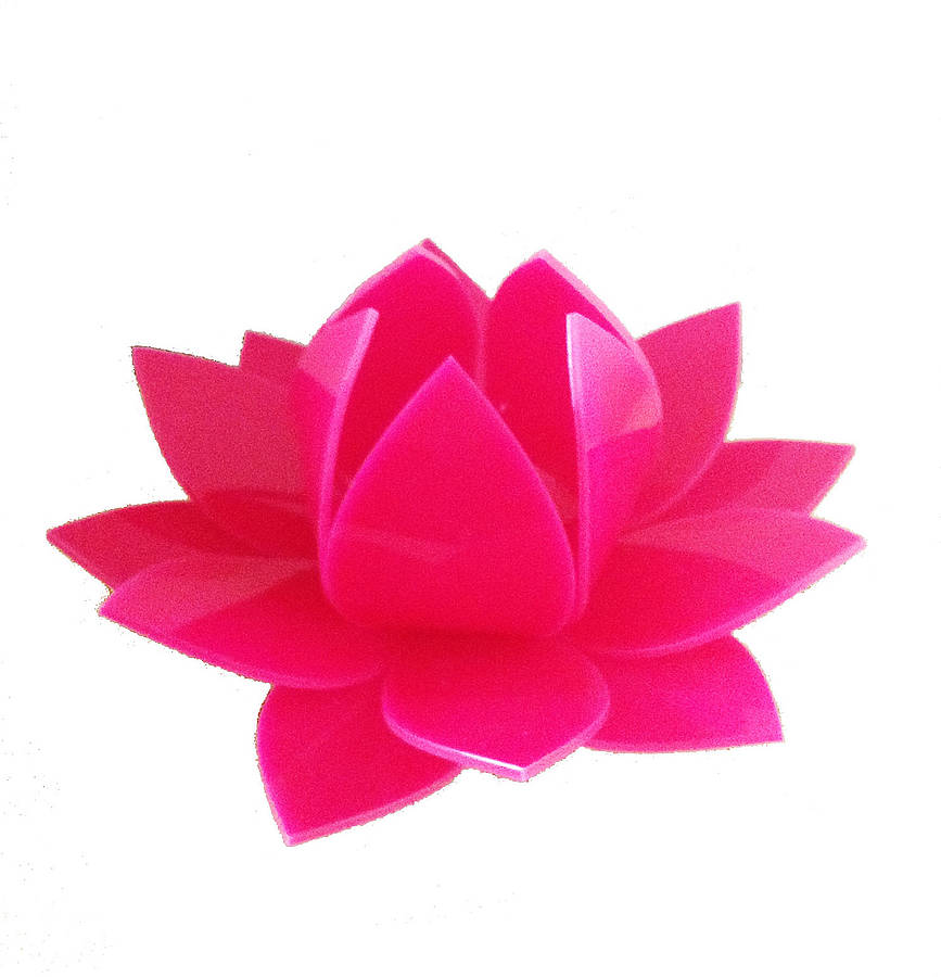 lotus flower table lamp by kirsty shaw