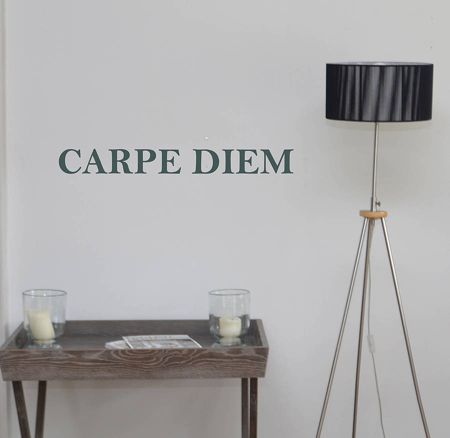 Carpe Diem Wall Sticker By Leonora Hammond 