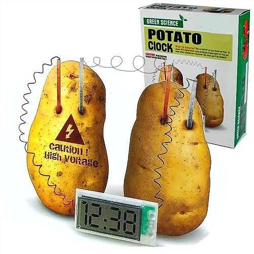 digital potato clock science kit by british and bespoke