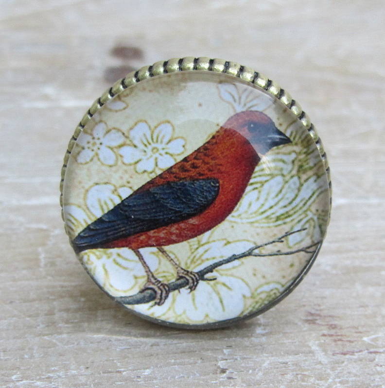 set of four glass and brass bird knobs by horsfall & wright