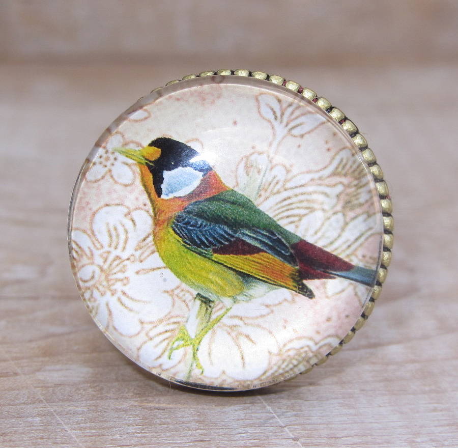 set of four glass and brass bird knobs by horsfall & wright