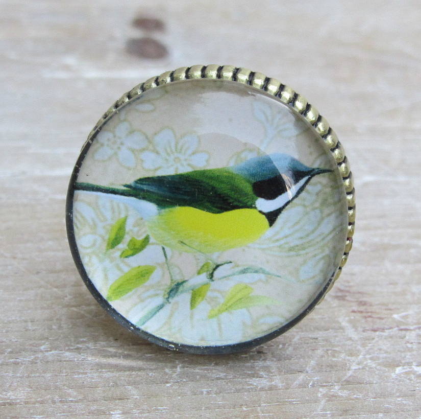 set of four glass and brass bird knobs by horsfall & wright