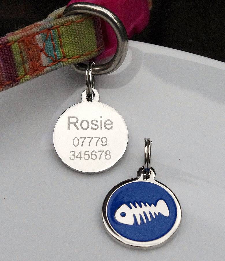 personlised cat id pet tag by capture & keep