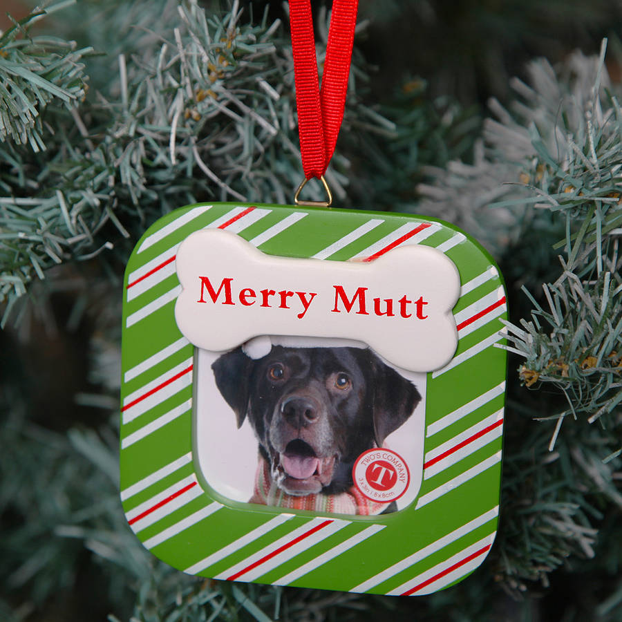 Dog Christmas Picture Frame 