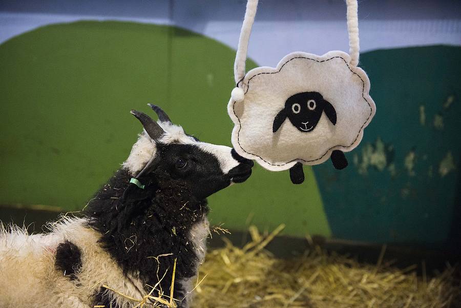 fluffy sheep bag