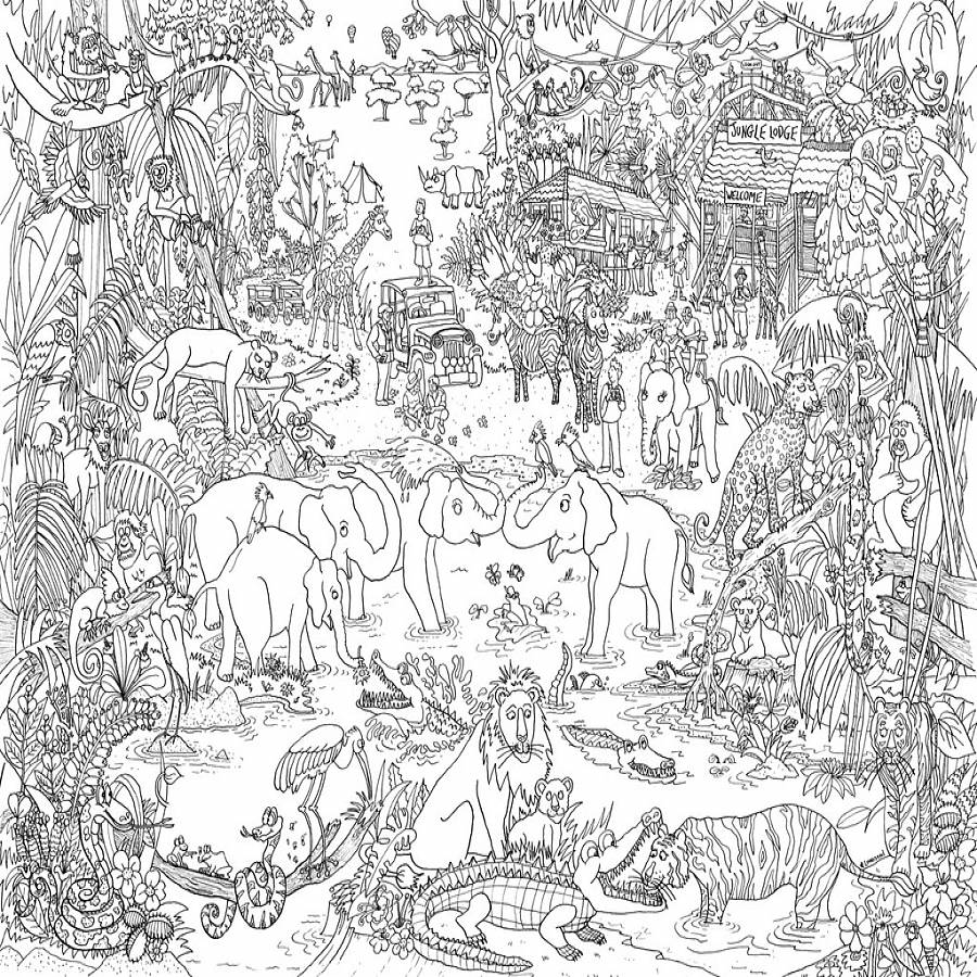 jungle safari colouring in poster by really giant posters