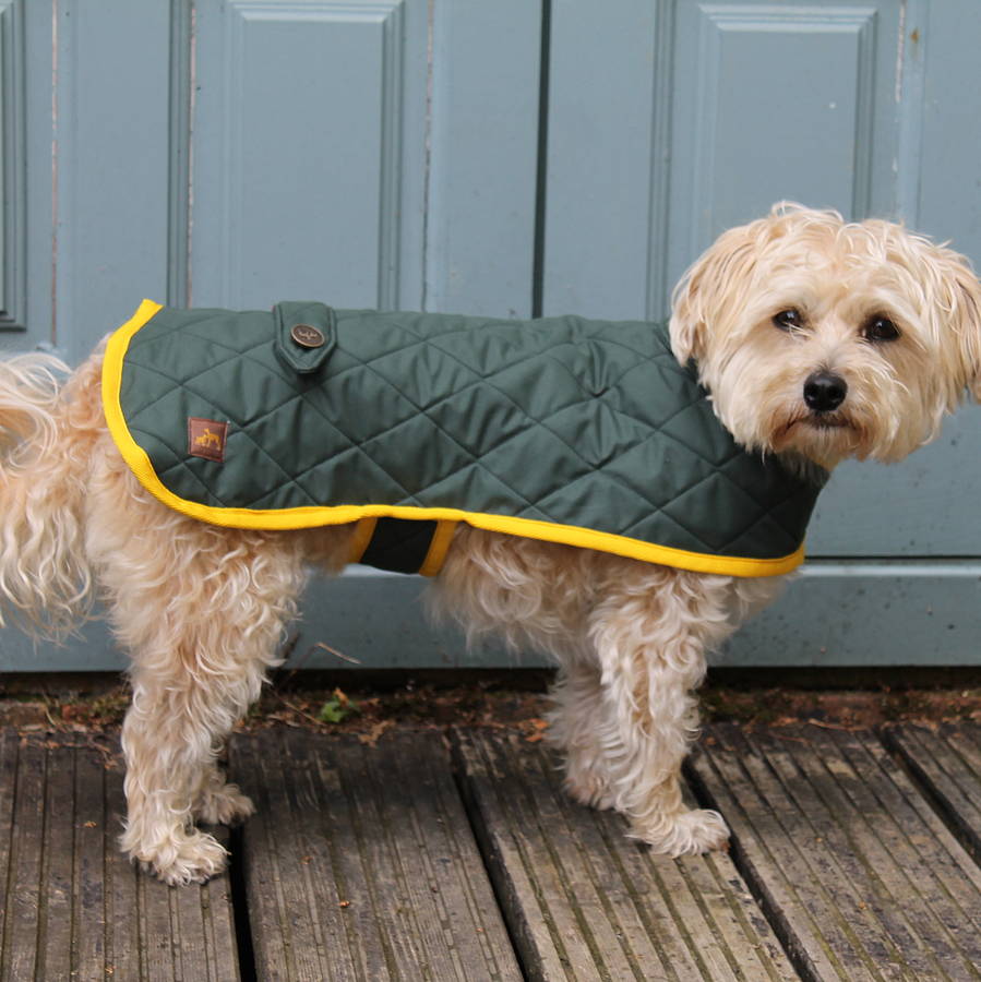 quilted waterproof dog coat by country and twee