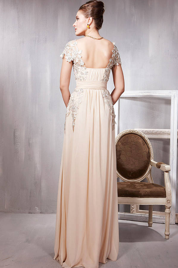 embroidered beige chiffon evening dress by elliot claire london