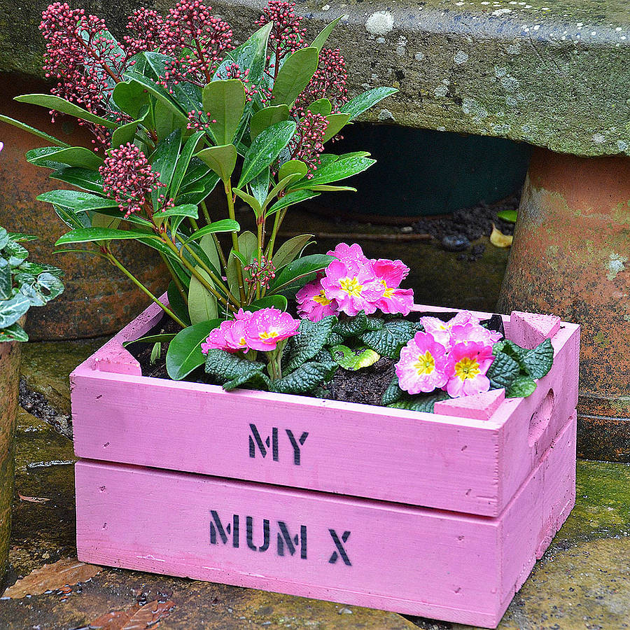 personalised mother's day gift crate by plantabox