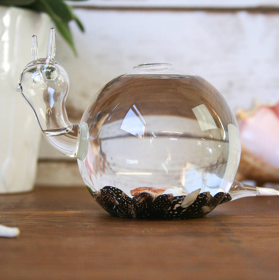 handblown glass snail vase terrarium by bonnie and bell