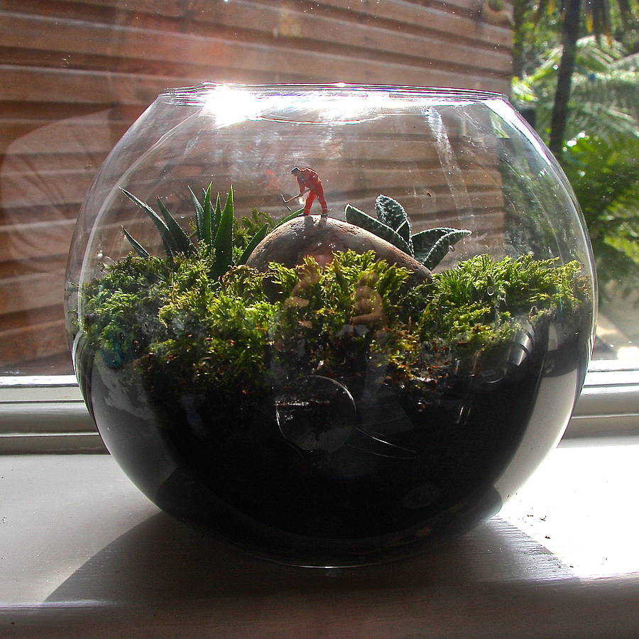 mini world terrarium kit the miner by london garden trading
