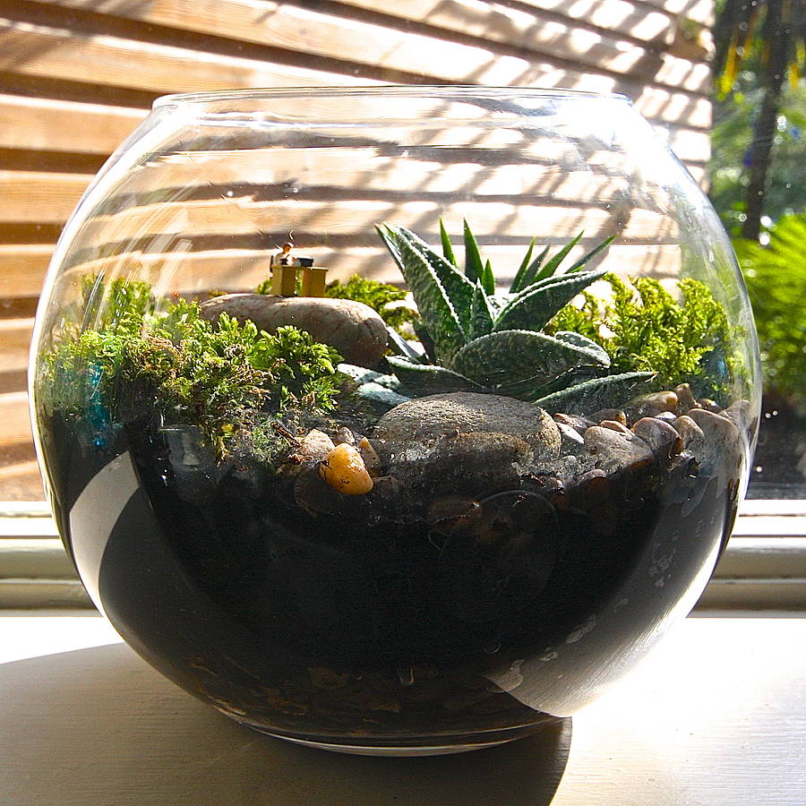 mini world terrarium kit the secretary by london garden trading