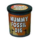 discovery fossil dig kit