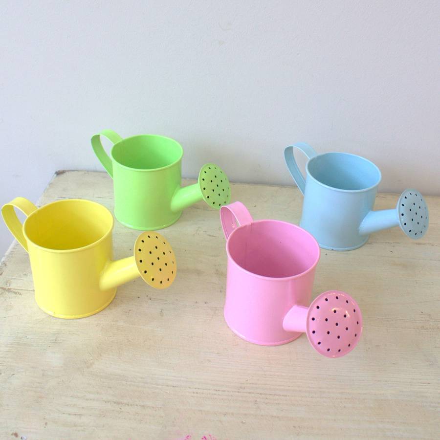 100 Decorative Watering Cans For Centerpieces Plum And