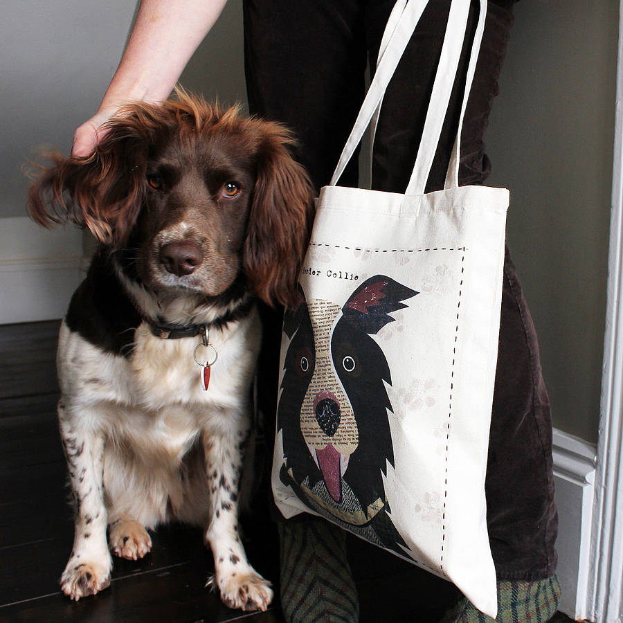 Canvas dog bag Clearance