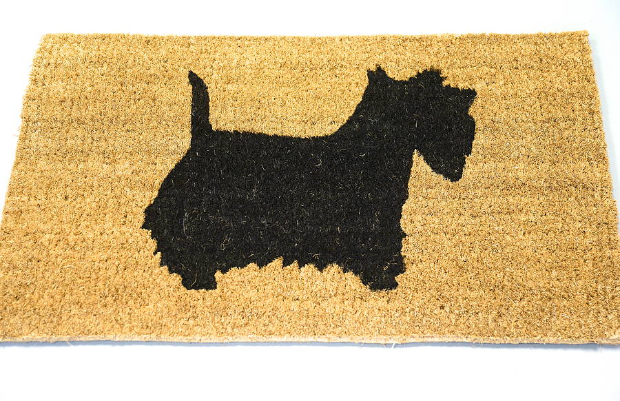 personalised pet doormat by letteroom