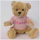 personalised cuddly teddy bear