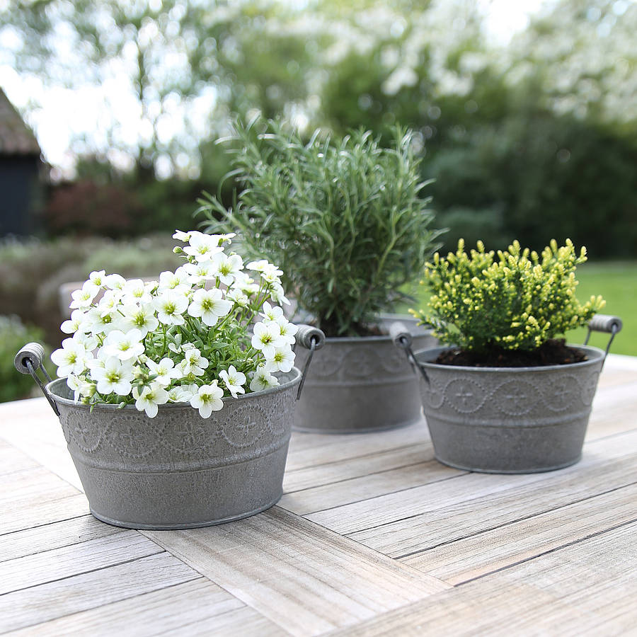 set of three tabletop garden planters by red lilly