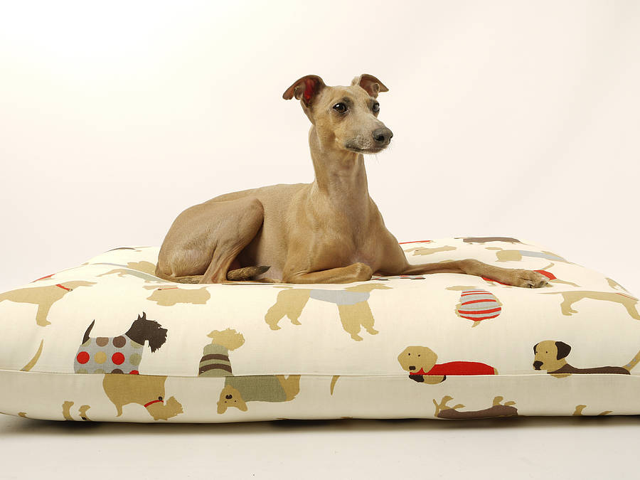 charley chau luxury cotton top dog bed by charley chau