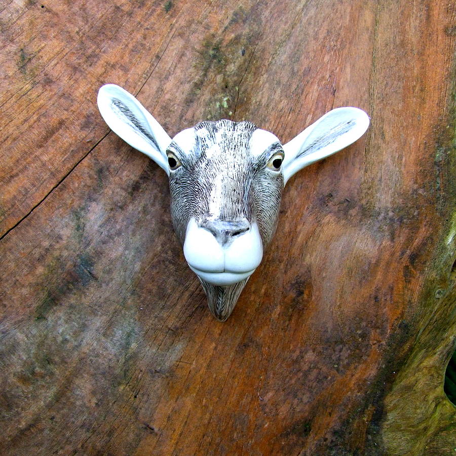 ceramic goat wall vase by home & glory