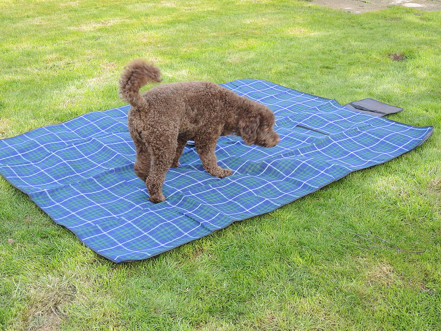 personalised large picnic blanket by solesmith