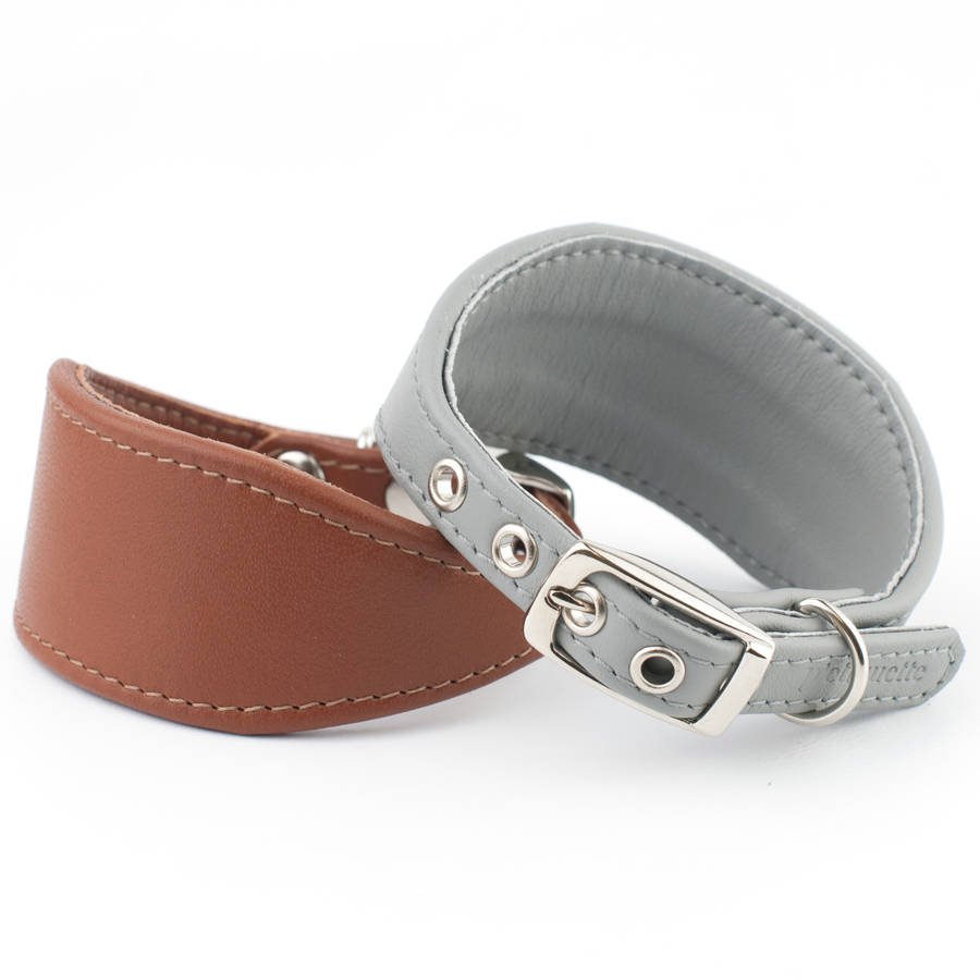 soft leather italian greyhound collar by petiquette collars