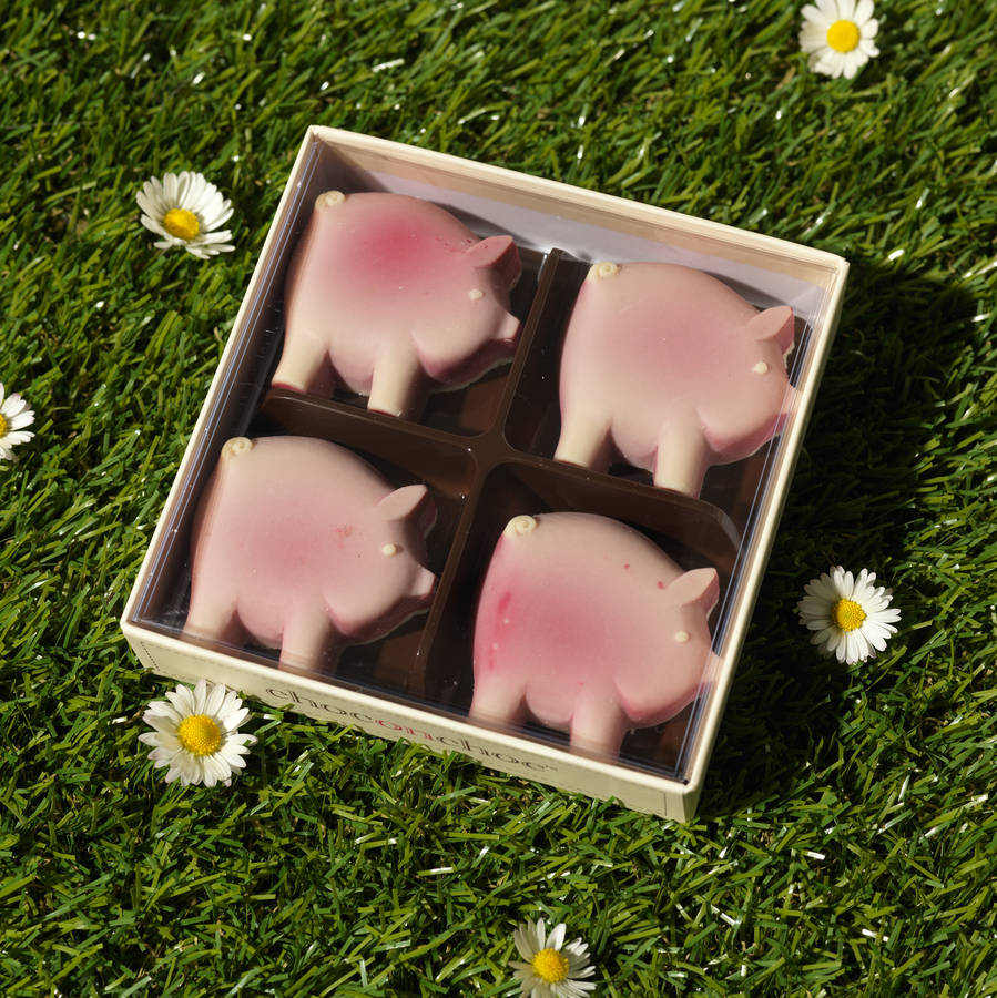 chocolate pigs by choc on choc