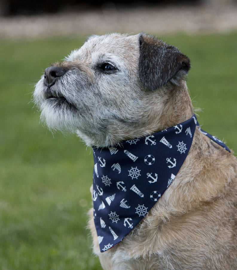 Dorset Dog Bed Company Dorset Dog Bed Company