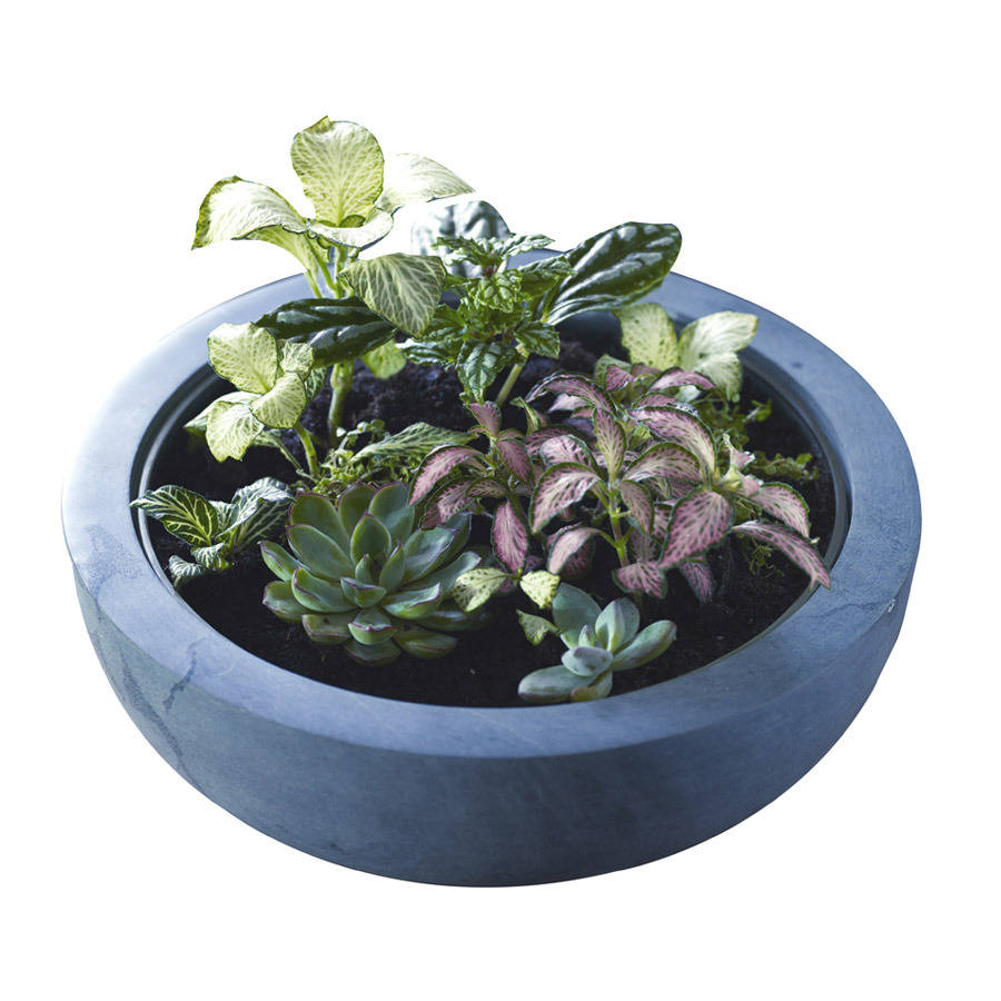 herly stone terrarium by rowen & wren