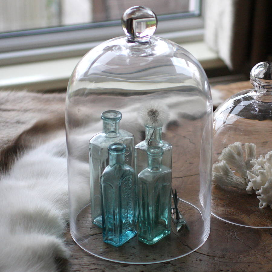 large glass display cloche by magpie living